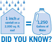 Rainwater Harvesting - Did you know